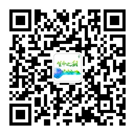 生命之钥-肿瘤免疫治疗患者援助项目